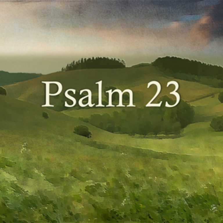 Psalm 23 PART 1 – Sheep and Shepherd Part 1